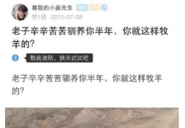 给你这么大的权力，你就这么给我牧羊的？